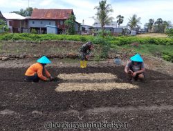 Sebagai Motor Penggerak Hanpangan, Babinsa Koramil 1425-02/Bangkala Bantu Petani Dalam Proses Pembibitan Benih Padi