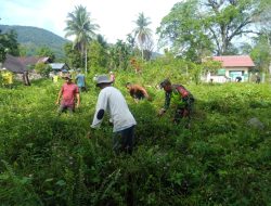 Peduli Kebersihan, Babinsa Tangse Gelar Gotong Royong Bersihkan Pemakaman Umum