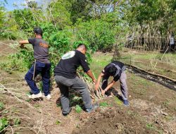 Rutan Selayar Wujudkan Ketahanan Pangan: Tanam Pisang dan Panen Ubi Kayu
