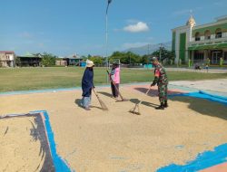 Babinsa Koramil-03 Kodim 1404/Pinrang Bantu Petani Jemur Padi