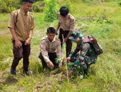 Dukung Penghijauan Di Wilayah Binaan, Anggota Koramil Maiwa Bersama Warga Masyarakat Tanam Pohon Jatih Putih Dan Pohon Mahoni
