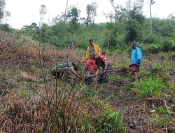 Personel Koramil-02/Sinjai Barat Kodim 1424/Sinjai Gelar Karya Bakti Penanaman Pohon Keras Bitti