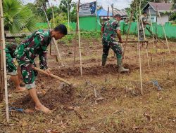 Anggota Koramil 1407-10/Ponre Membuat Bedengan Di Lahan Ketahanan Pangan Makoramil