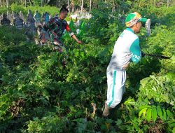 Babinsa Cakkaware Koramil 03/Cenrana Berkolaborasi dengan Warga, Gelar Pembersihan TPU Sebagai Wujud Kebersamaan