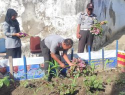Rutan Selayar Panen Terong dan Bayam di Area Brandgang