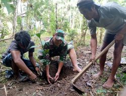 Babinsa Koramil 1424-05/Sinjai Selatan Kodim 1424/Sinjai Bersama Warga Laksanakan Karya Bakti Penanaman Bibit Pohon Manggis