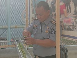 Mulai Berkecambah, Program Hidroponik Rutan Palu Terpantau Bejalan Baik dan Lancar