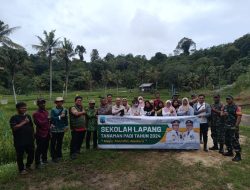 Babinsa Koramil 0907/01 Tartim Dan Penyuluh Gelar Sekolah Lapang Pertanian Sawah