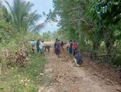 Babinsa Koramil 1424-05/Sinjai Selatan Kodim 1424/Sinjai Bersama Warga Laksanakan Karya Bakti Perbaikan Jalan Tani