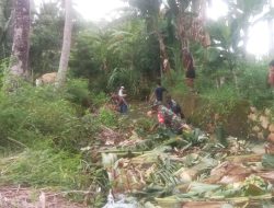 Optimlkan sistem irigasi dengan Baik Babinsa Kel. Tanete Bersama warga bahu membahu bersihkan saluran irigasi
