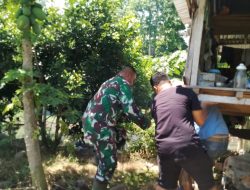 Jalin Keakraban, Babinsa nKoramil-05 Kodim 1404/Pinrang Bantu Warga Pindahkan Rumah Kebun