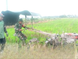 Dukung Ketahanan Pangan, Babinsa Koramil-04 Kodim 1404/Pinrang Dampingi Petani Bajak Sawah Gunakan Traktor
