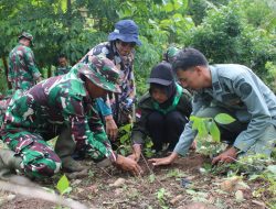 Sambut Hari Juang TNI AD Personel Kodim 1405/Parepare menggelar kegiatan Penanaman Pohon