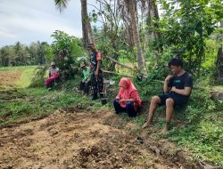 Babinsa Biringere Koramil 1424-01/Sinjai Utara Kodim 1424/Sinjai Dampingi Petani Panen Tanaman Wijen
