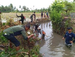 Penuhi Kebutuhan Air Petani, Koramil-04/Paleteang Kodim 1404/Pinrang Bersihkan Saluran Irigasi
