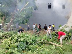 Babinsa Biringere Koramil 1424-01/Sinjai Utara Kodim 1424/Sinjai Gelar Karya Bakti Pembersihan Lingkungan