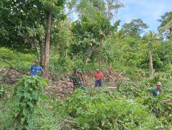 Percepat Masa Tanam Jagung, Babinsa Tassililu Koramil 1424-02/Sinjai Barat Kodim 1424/Sinjai Bantu Bersihkan Lahan Perkebunan Petani