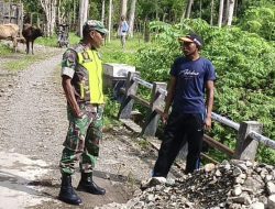 Babinsa bersama Sekdes Tinjau Jembatan Gantung Rusak di Desa Kebon Nilam