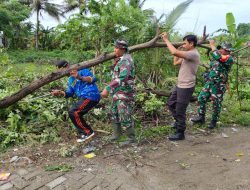 Kodim 1405/Parepare Bersama Polres Barru Gelar Aksi Pembersihan Pasca Banjir di kabupaten Barru