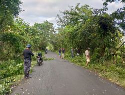 Babinsa Pitumpidange Koramil 14/Libureng Bersama Warga Kerja Bakti Bersihkan Jalan Desa