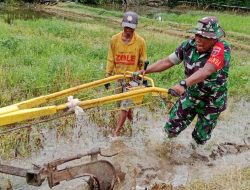 Babinsa Kel. Pompanua Riattang Koramil 01/Ajangale Bantu Petani Bajak Sawah 