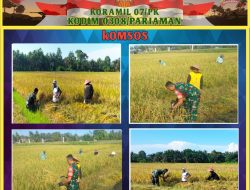 Manfaatkan Waktu Istirahat Panen Padi, Babinsa Koramil 07/Pauh Kambar Komsos Dengan Petani