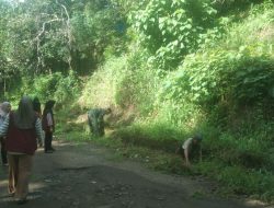 Babinsa Koramil 03/Sinjai Tengah Kodim 1424/Sinjai Gelar Karya Bakti Pembersihan Saluran Air Di Kiri Kanan Jalan