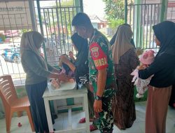 Pastikan Tercegah Dari Stunting, Babinsa Kajuara Dampingi Posyandu Di Desa Pude