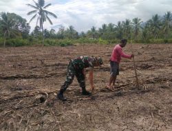 Tingkatkan Ketahanan Pangan, Babinsa Koramil 12/Cina Dampingi Petani Desa Kanco Tanam Jagung