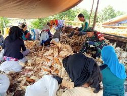 Babinsa Posramil Amali Koramil 1407-05/Ulaweng Bantu Petani Kupas Kulit Jagung Hasil Panen