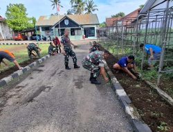 Babinsa Tanete Riattang Melaksanakan Pemeliharaan Dan Pembenahan Kebun Koramil