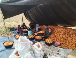 Anggota Koramil 08/Lamuru Kodim 1407/Bone Bantu Warga Panen Jagung Di Dusun Muttiara