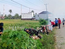 Babinsa Koramil Ajangale Kodim 1407/Bone Dan Warga Gelar Kerja Bakti Di Sepanjang Jalan Poros Pompanua – Timurung
