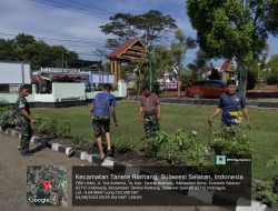 Babinsa Koramil 1407-07/Tanete Riattang Laksanakan Pemeliharaan Kebun Di Pekarangan Koramil