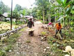 Babinsa Koramil 11 Barebbo Kodim 1407/Bone Melaksanakan Kerja Bakti Pembenahan Jalan Tani