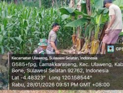 Bahu-Membahu, Babinsa Koramil 1407-05/Ulaweng Dan Warga Lamakkaraseng Kompak Benahi Saluran Air