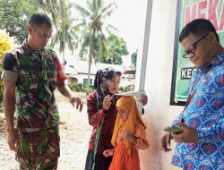 Babinsa Koramil 15/Mare Kodim Bone Dampingi Pelayanan Posyandu Di Wilayah Binaan Desa Lapasa