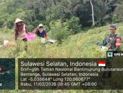 Pacu Semangat Petani, Babinsa Koramil 1407-20/Bontocani Kawal Masa Panen Cabai Di Kelurahan Kahu