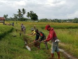 Dukung Produktivitas Lahan, Babinsa Koramil 17/Salomekko Kodim 1407/Bone Turun Tangan Benahi Irigasi Desa