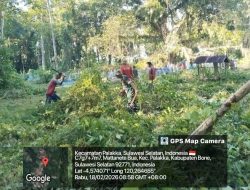 Babinsa Koramil 1407-21/Palakka Laksanakan Kerja Bakti Bersama Warga Di Area Pemakaman Islam Di Desa Binaan