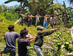 Cegah Petaka Pohon Tumbang, Babinsa Libureng Kodim 1407/Bone Dan Warga Desa Suwa Kompak Lakukan Eksekusi