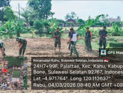 Aksi Nyata Danramil 19/Kahu Kodim 1407/Bone : Gerakkan Anggota Budidaya Cabai Di Tengah Markas