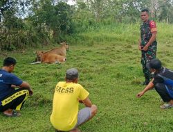 Sapa Warga Desa Bune, Babinsa Koramil 1407-14/Libureng Kodim Bone Pererat Ikatan Kemanunggalan TNI-Rakyat