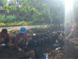 Kawal Ekonomi Desa : Babinsa Koramil 1407-03/Cenrana Kodim Bone Dampingi Warga Siapkan Bibit Sawit Unggul