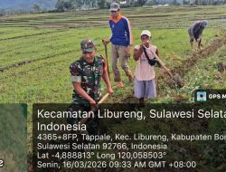 Pastikan Pasokan Air Sawah Aman, Babinsa Koramil 1407-14/Libureng Kodim Bone Turun Ke Parit Bersama Warga