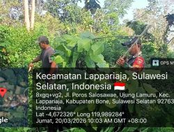 Wujudkan Desa Sehat Dan Asri, Babinsa Koramil 09/Lapri Kodim Bone Gelar Kerja Bakti Di Ujung Lamuru