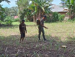 Tak Kenal Lelah, Babinsa Kahu Kodim Bone Bahu Membahu Bersama Petani Berantas Rumput Liar Di Desa Maddanrengpulu