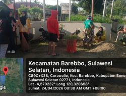 Babinsa Koramil 11/Barebbo Kodim 1407/Bone Gerakkan Semangat Gotong Royong Bersama Warga Corawali