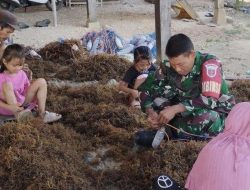 Wujud Kepedulian, Aksi Babinsa Koramil 1407-03/Cenrana Bantu Warga Dusun II Laoni Ikat Sango-Sango
