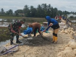 Sinergi TNI-Rakyat : Babinsa Koramil 11/Barebbo Kodim 1407/Bone Kerahkan Tenaga Benahi Jalan Tani
